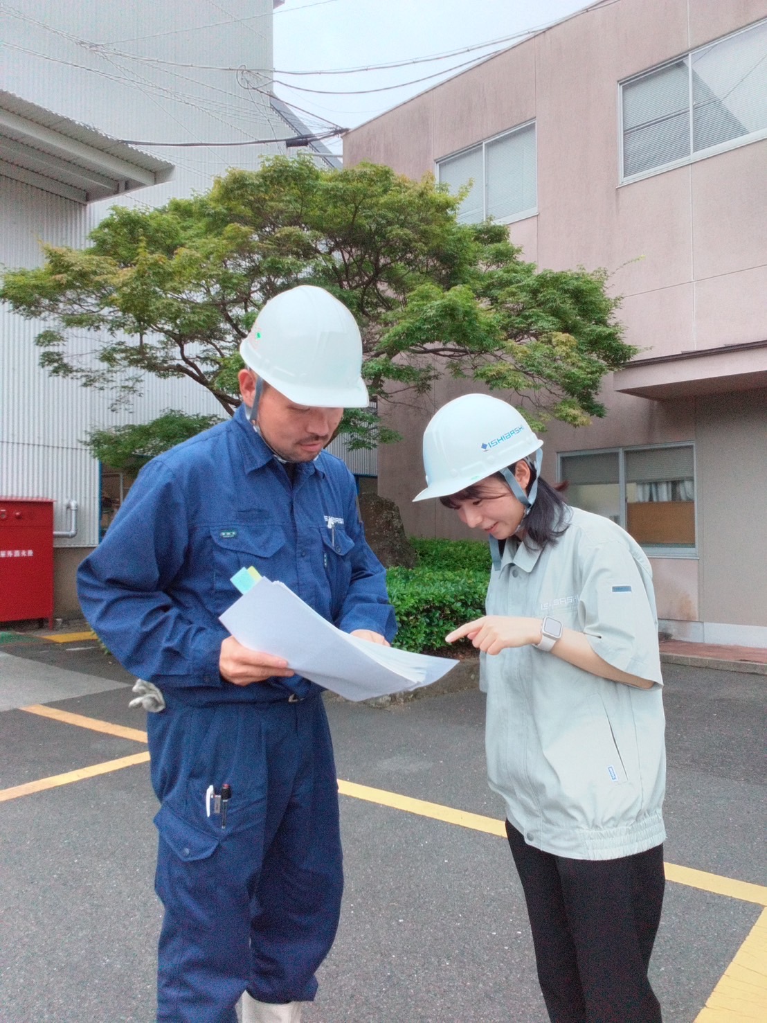 先輩社員の写真