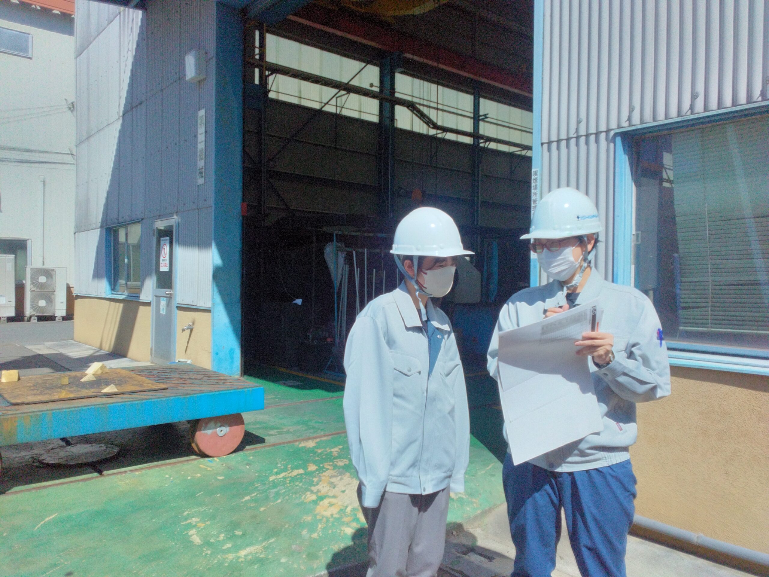 先輩社員の写真
